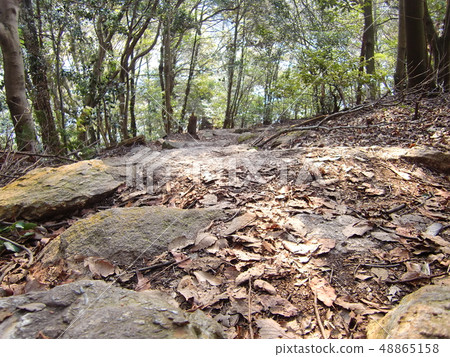 Mountain road Mountain road 48865158