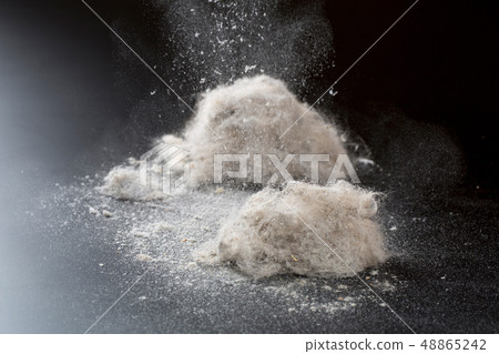 灰塵積聚在真空吸塵器中 48865242