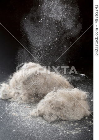 灰塵積聚在真空吸塵器中 灰塵積聚在真空吸塵器中 48865243