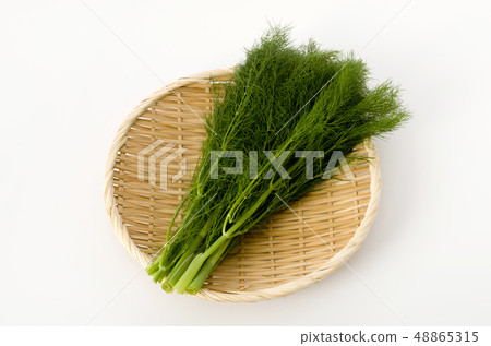 茴香(茴香) 茴香(茴香) 48865315