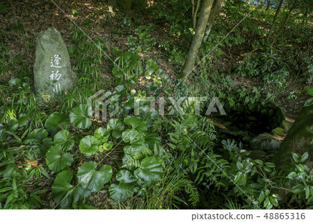 H川川 H川川 48865316