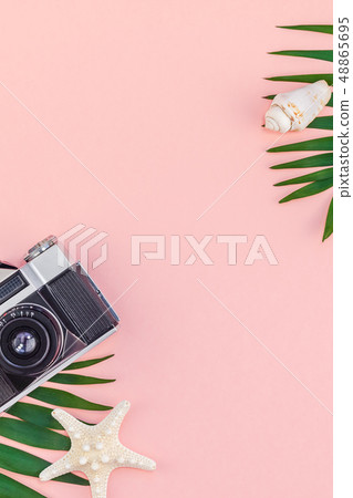 Tropical palm leaves vacations pink background Tropical palm leaves vacations pink background 48865695