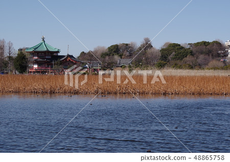 Landscape of Shinobazu Pond 48865758