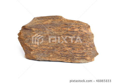 Agarwood, also called aloeswood oudh, isolated on 48865833