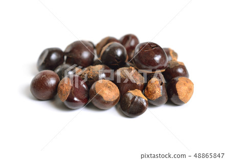 Guarana seed Paullinia cupana. Isolated on white 48865847