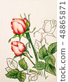 Pencil hand drawn roses in line art and realistic style 48865871