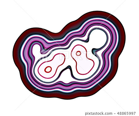 Meiosis In Telophase Stage Meiosis In Telophase Stage 48865997
