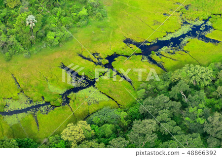 Aerial landscape in Okavango delta, Botswana Aerial landscape in Okavango delta, Botswana 48866392