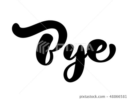 Bye handwritten calligraphy lettering modern brush painted letters. Vector illustration. Template 48866581