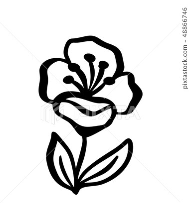 Hand sketched vector vintage floral elements - laurels leaves flower swirls and feathers. Wild and 48866746