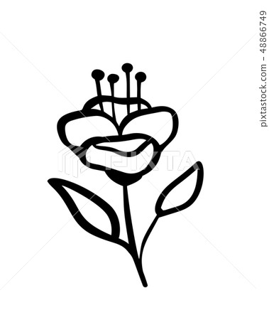 Hand sketched vector vintage floral elements - laurels leaves flower swirls and feathers. Wild and Hand sketched vector vintage floral elements - laurels leaves flower swirls and feathers. Wild and 48866749