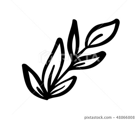 Hand sketched vector vintage floral elements - laurels leaves flower swirls and feathers. Wild and 48866808