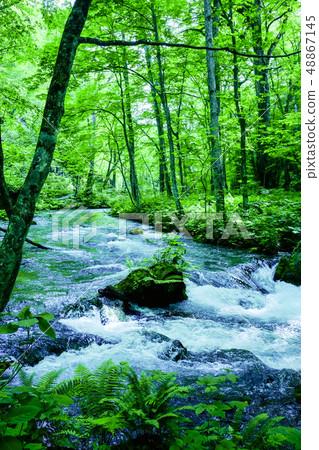 Oirase stream Oirase stream 48867145