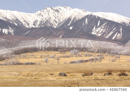 A mountain forest in the Nobeyama Plateau, Nagano Prefecture, covered with ice that spreads over the Yatsugatake Mountain Range and Shinto in the deep winter of Shinshu A mountain forest in the Nobeyama Plateau, Nagano Prefecture, covered with ice that spreads over the Yatsugatake Mountain Range and Shinto in the deep winter of Shinshu 48867560