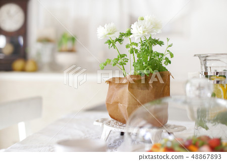 與綠色植物，室內植物和綠色植物一起生活 48867893