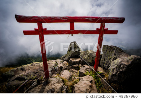 鳥居 48867960