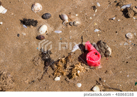 Ecology: beach discoveries - red whistle Ecology: beach discoveries - red whistle 48868188