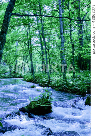 Oirase stream 48868375