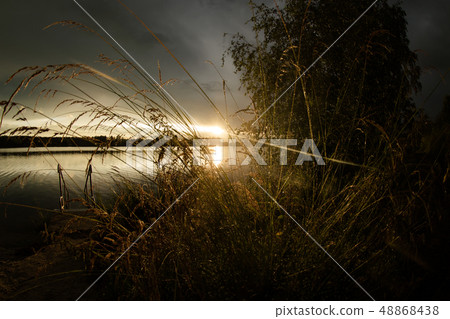 Landscape at the Murner lake, Wackersdorf, Bavaria Landscape at the Murner lake, Wackersdorf, Bavaria 48868438
