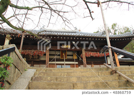 野崎觀音(次元寺)本堂 / 大阪府大東市野崎2 野崎觀音(次元寺)本堂 / 大阪府大東市野崎2 48868759