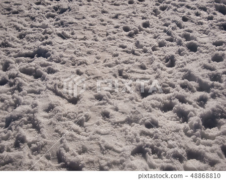 Several footprints in fresh snow Several footprints in fresh snow 48868810