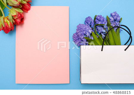 Red tulips and blue hyacinth flowers as present card on a colored background with copyspace. Red tulips and blue hyacinth flowers as present card on a colored background with copyspace. 48868815