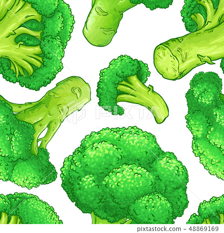 broccoli vector