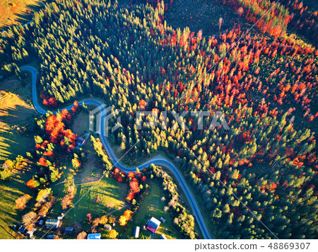 Curved road in fall forest and village.  48869307