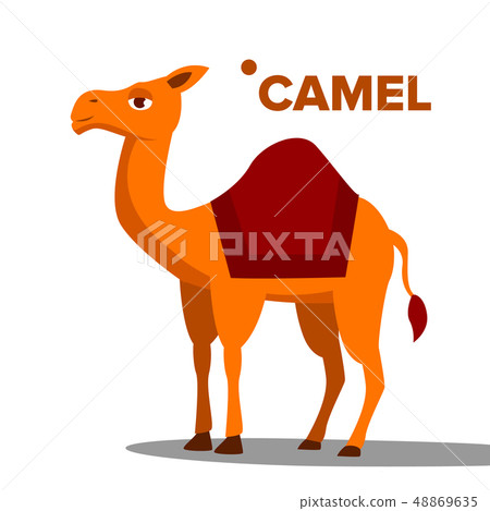Camel Vector. Funny Animal Isolated Flat Cartoon Illustration 48869635