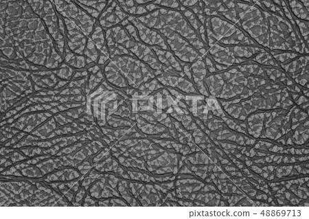 Dark gray leather for your background. 48869713