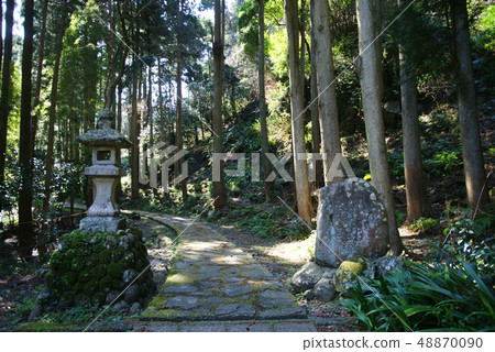 Saburo Kawazu的血丘 48870090