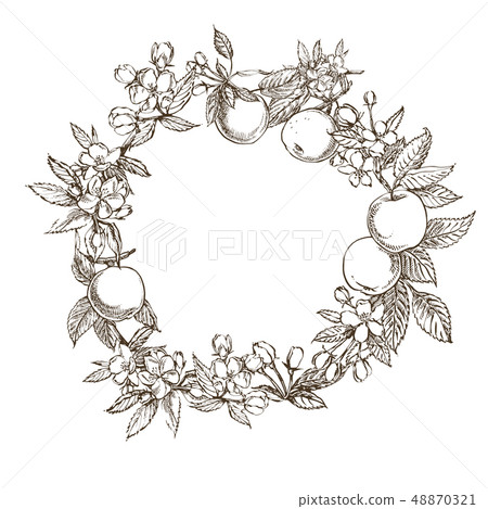 Apple illustration. Hand drawn patterns with textured apple illustration. Vintage botanical hand 48870321