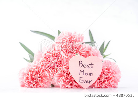 Mother's Day Yasuno Kaoru Flower powder clipping path top view clipping path mockup Mother's Day Yasuno Kaoru Flower powder clipping path top view clipping path mockup 48870533