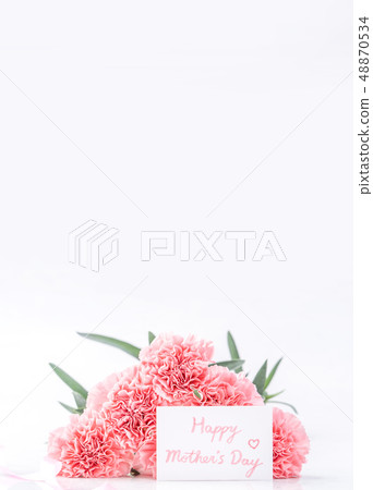 Mother's Day Yasuno Kaoru Flower powder clipping path top view clipping path mockup Mother's Day Yasuno Kaoru Flower powder clipping path top view clipping path mockup 48870534