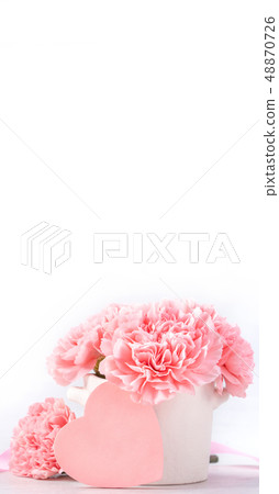 Mother's Day Yasuno Kaoru Sendoku 卡片 桫 SOFT Vase Carnation Mockup Mother's Day carnation 48870726