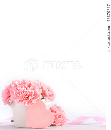 Mother's Day Yasuno Kaoru Sendoku 卡片 桫 SOFT Vase Carnation Mockup Mother's Day carnation 48870727
