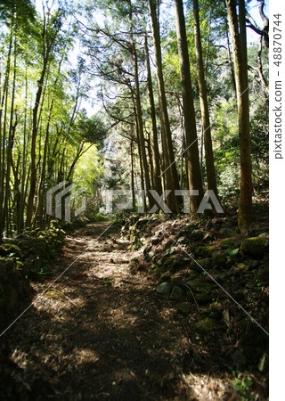 Izu Kodo“Higashiuraji”（東浦寺） 48870744