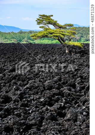 烘烤熔岩流的風景 48871129