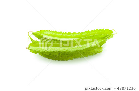 winged bean on white background winged bean on white background 48871236