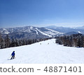 Shiga Kogen in winter 48871401
