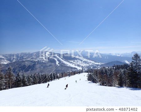 Shiga Kogen in winter 48871402