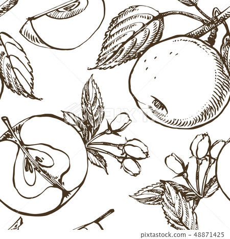 Apple illustration. Hand drawn patterns with textured apple illustration. Vintage botanical hand 48871425