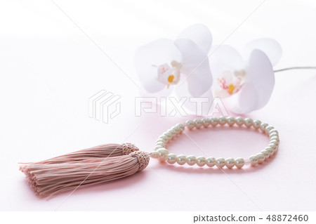 Rosary and Phalaenopsis Rosary and Phalaenopsis 48872460