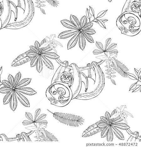 Seamless Pattern with Sloths in Jungle. Animal and Plants sketches. Hand Drawn Background Seamless Pattern with Sloths in Jungle. Animal and Plants sketches. Hand Drawn Background 48872472