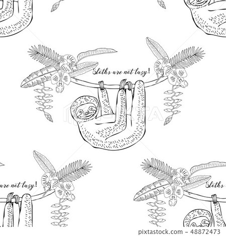 Seamless Pattern with Sloths in Jungle. Animal and Plants sketches. Hand Drawn Background Seamless Pattern with Sloths in Jungle. Animal and Plants sketches. Hand Drawn Background 48872473