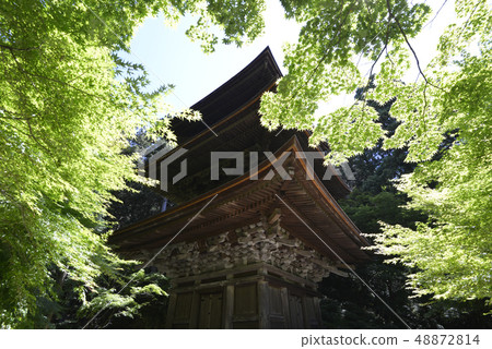Kongorinji Temple Triple Tower 48872814