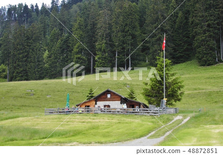 Heidi's mountain hut 48872851