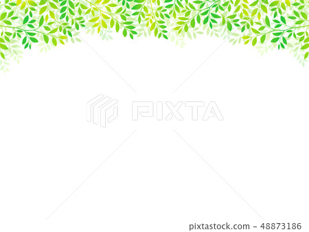 樹上新鮮綠葉的清爽圖像 48873186