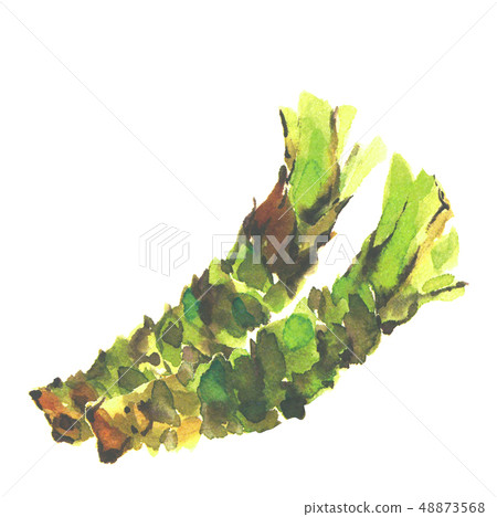 芥末yamatake芥末水彩 芥末yamatake芥末水彩 48873568