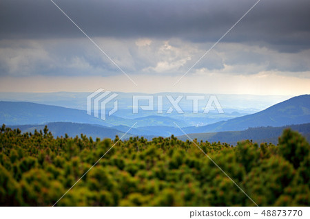 Krkonose mountain, pine forest with clouds Krkonose mountain, pine forest with clouds 48873770